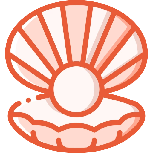 Conchshell Craft
